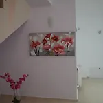 Pensiune Pensiunea Andy Brașov