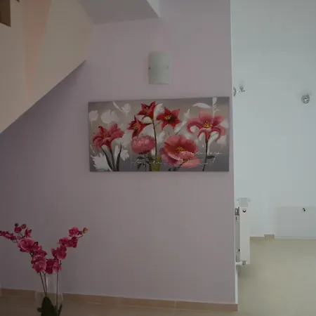 Casa de hóspedes Andy Braşov