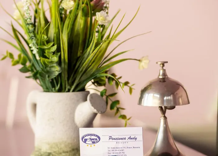 Guest house Andy Brasov