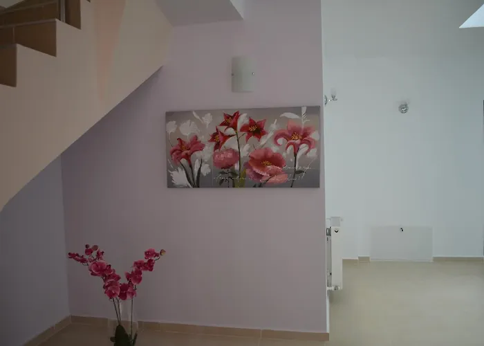 Guest house Andy Brasov